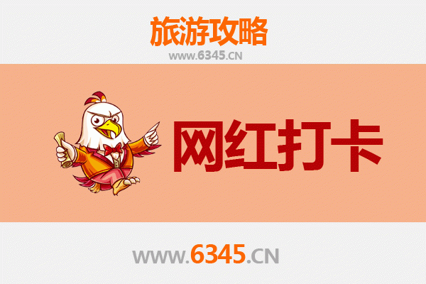 东方新龙镇网红打卡地全攻略：探索隐藏的潮流秘境